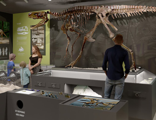 Aranżacja ekspozycji, dokumentacja przetargowa, nadzór inwestorski – Muzeum Paleontologiczne w Lisowicach